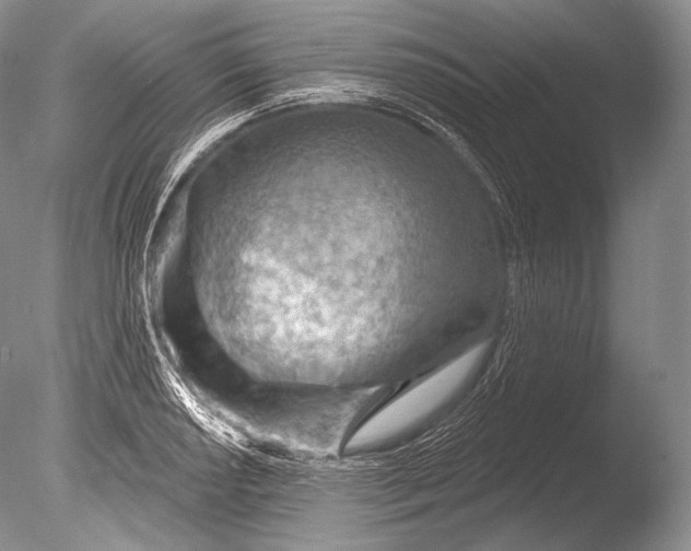 X0000085801034200703301453