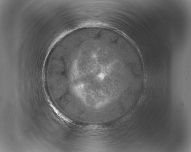 X0000085801037200703301453