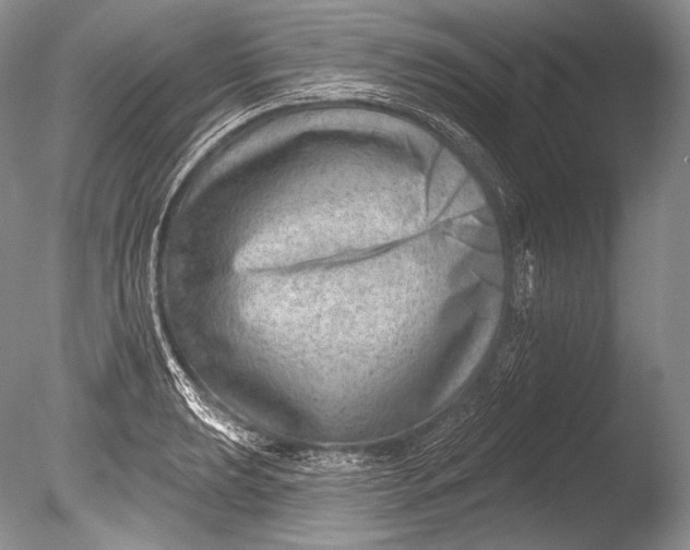 X0000085801039200703301453