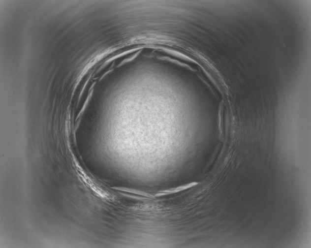 X0000085801040200703301453