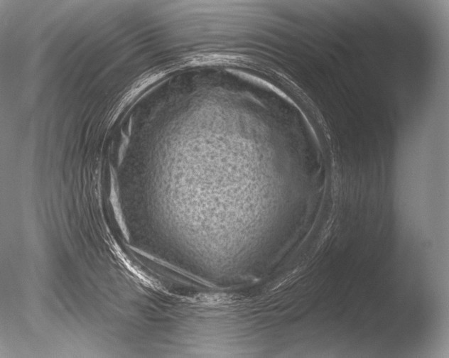 X0000085801041200703301453