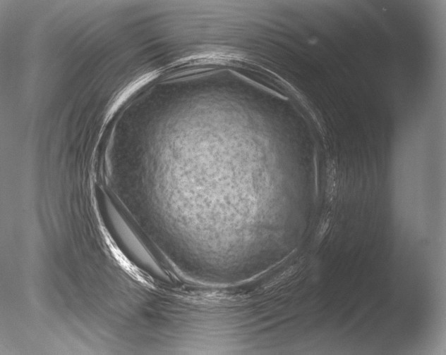 X0000085801042200703301453