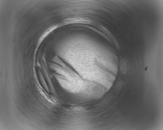 X0000085801043200703301453