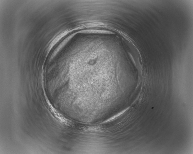 X0000085801047200703301453