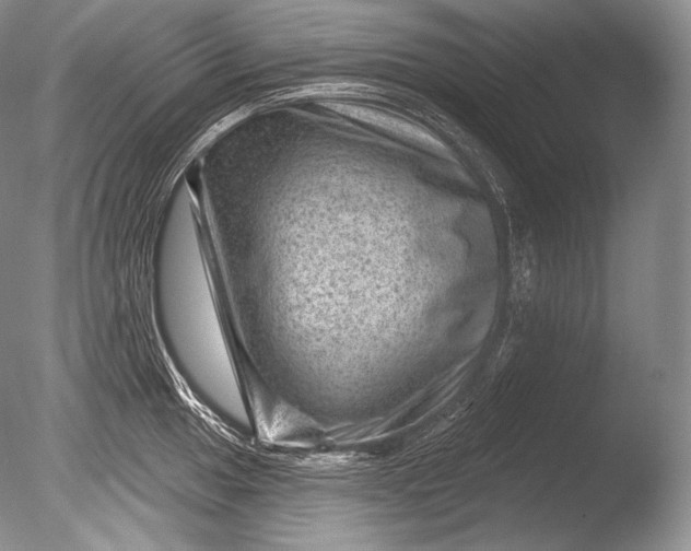 X0000085801049200703301453