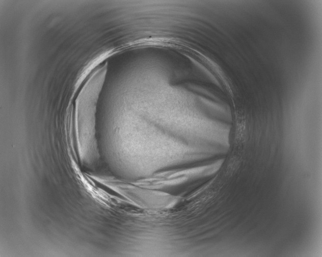 X0000085801050200703301453