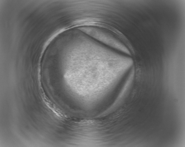 X0000085801051200703301453