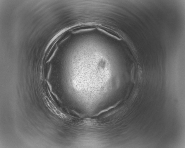 X0000085801052200703301453