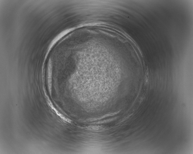 X0000085801053200703301453