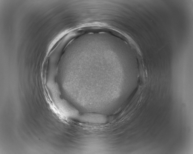 X0000085801054200703301453