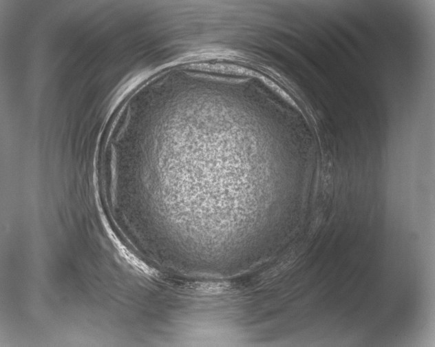 X0000085801055200703301453