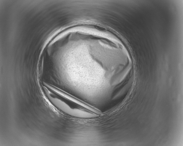 X0000085801056200703301453