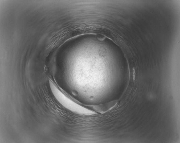 X0000085801059200703301452