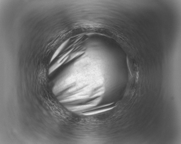 X0000085801061200703301452