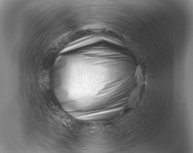 X0000085801062200703301452