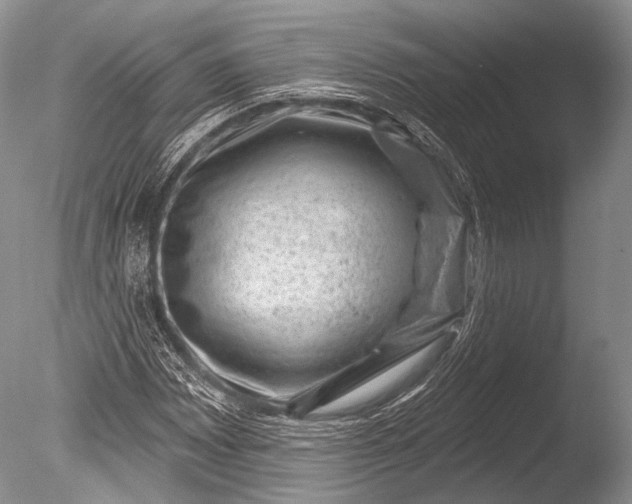 X0000085801065200703301452