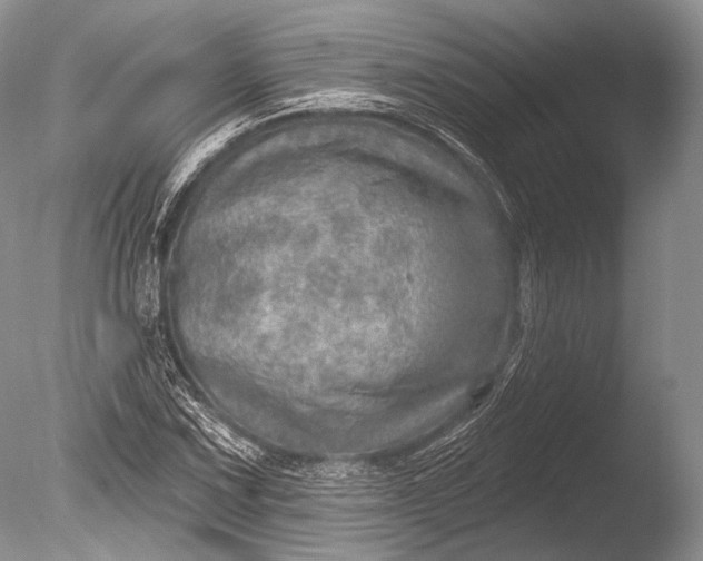 X0000085801067200703301452