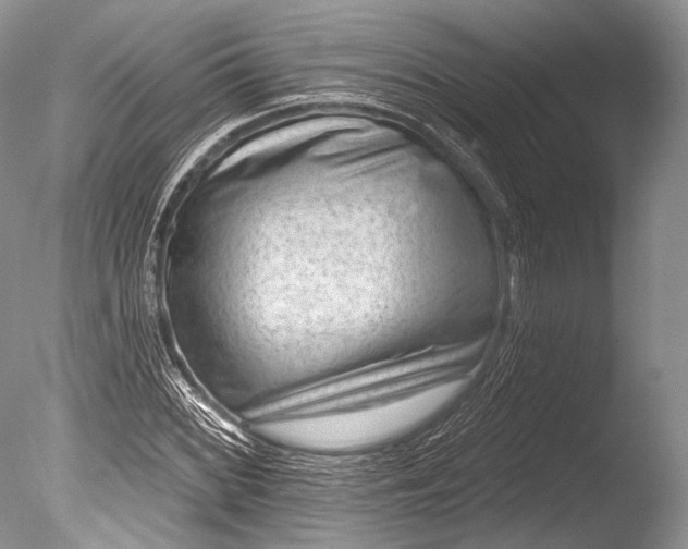 X0000085801068200703301452