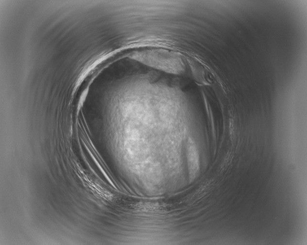 X0000085801069200703301452