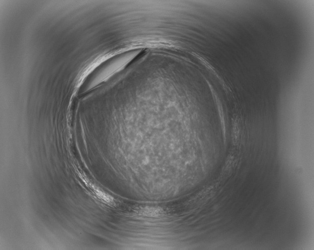 X0000085801071200703301452