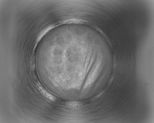 X0000085801075200703301452