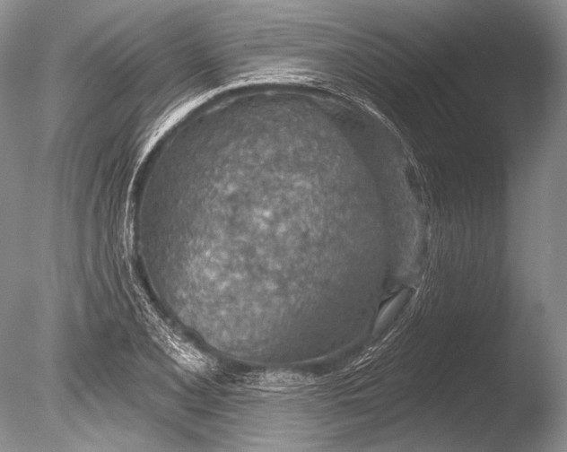 X0000085801077200703301452