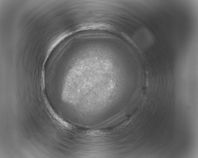 X0000085801079200703301452