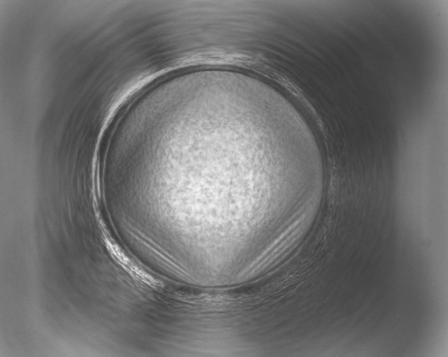 X0000085801080200703301452