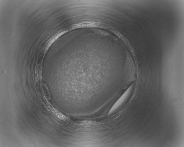 X0000085801081200703301452