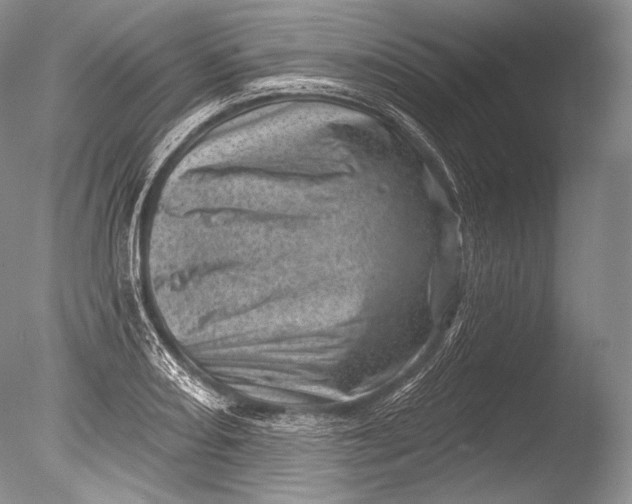 X0000085801082200703301452