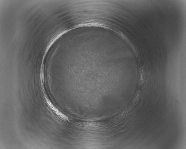 X0000085801084200703301452