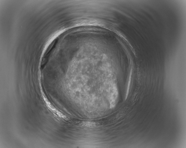 X0000085801088200703301452