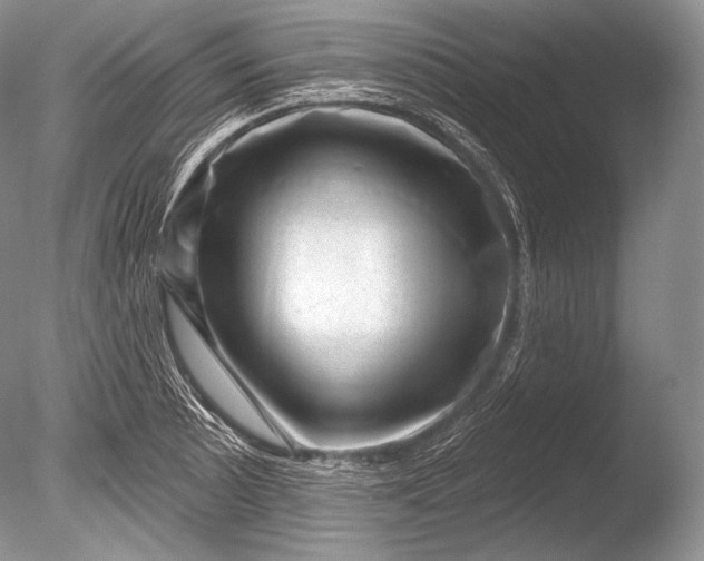 X0000085801089200703301452