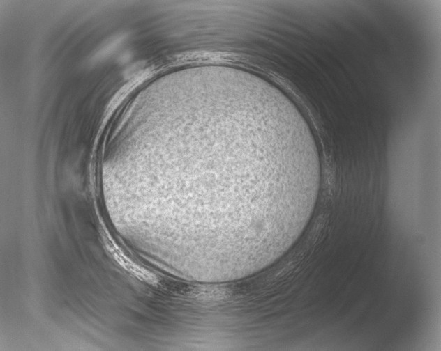 X0000085801090200703301452