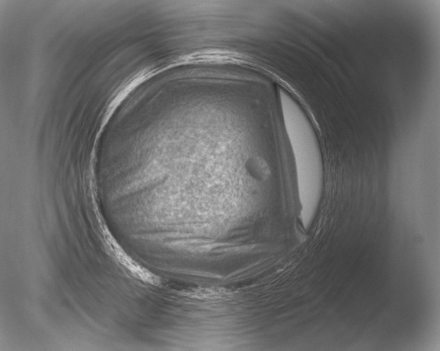 X0000085801091200703301452