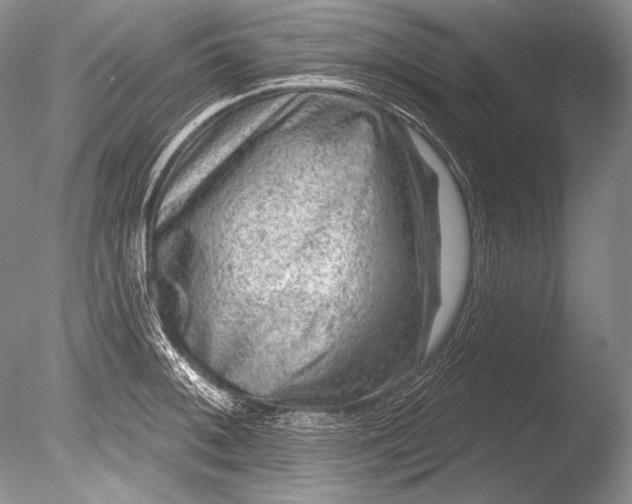 X0000085801092200703301452