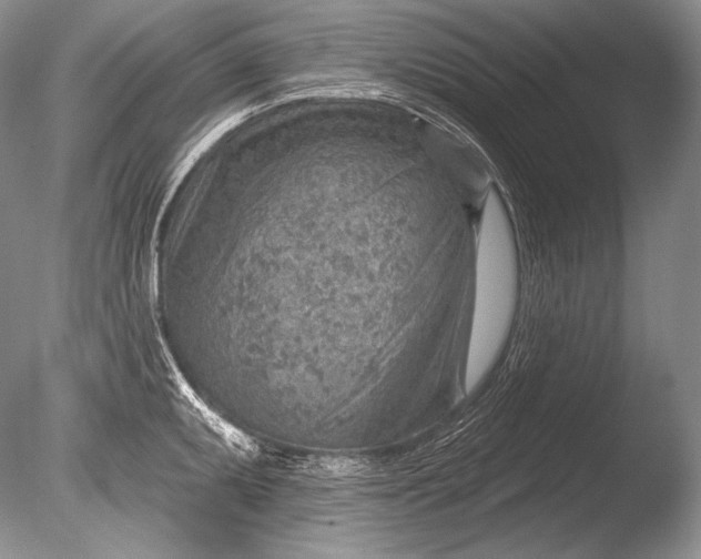 X0000085801095200703301452