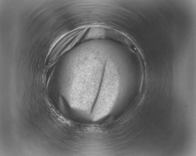 X0000085801097200703301451