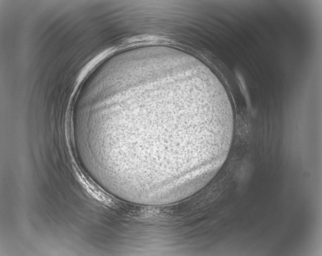 X0000085801098200703301451