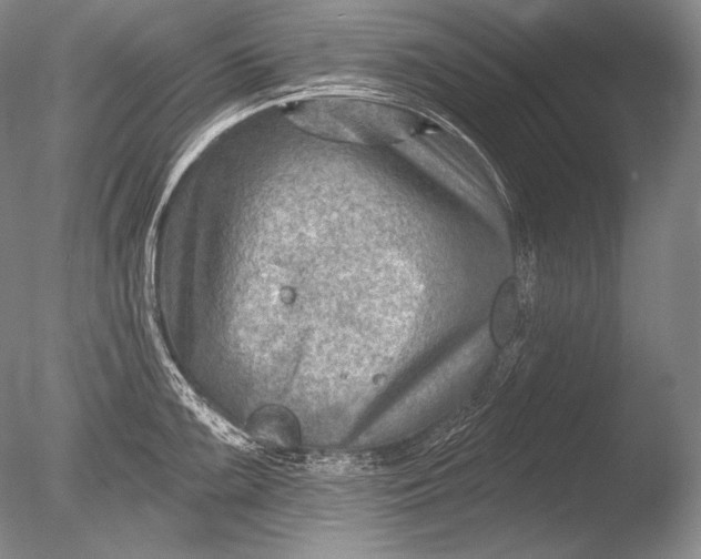 X0000085801099200703301451