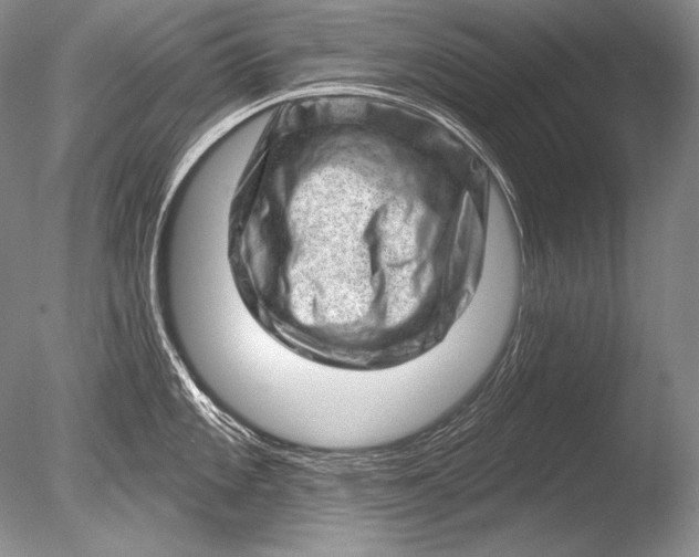 X0000085801101200703301451