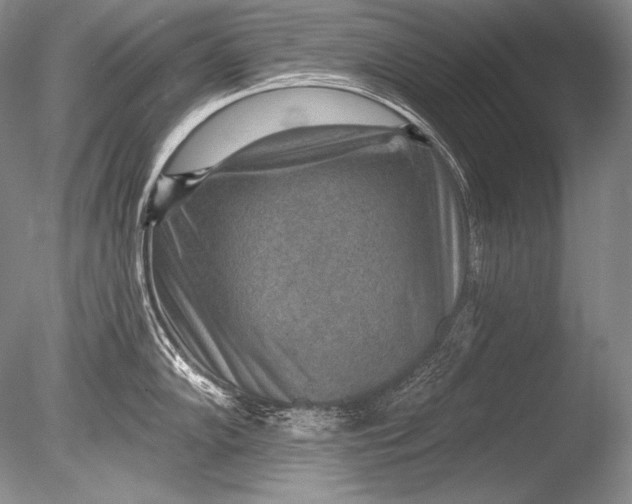 X0000085801102200703301451