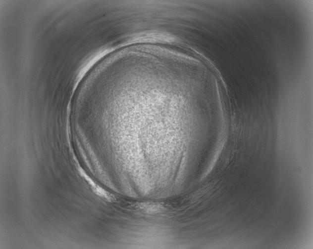 X0000085801103200703301451