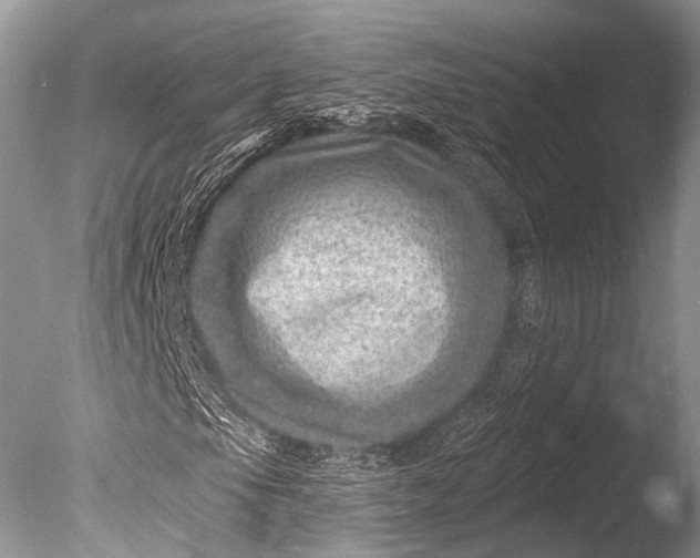 X0000085801105200703301451