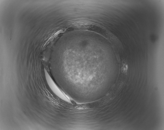 X0000085801108200703301451