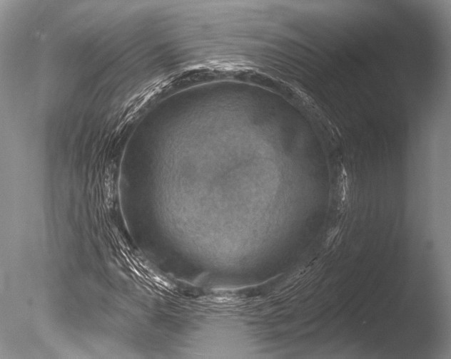 X0000085801110200703301451