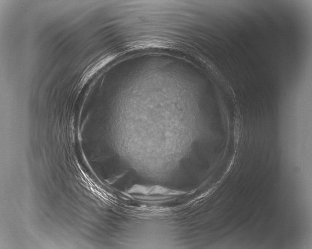 X0000085801113200703301451