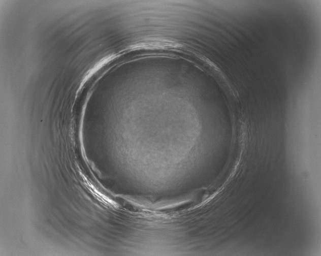 X0000085801114200703301451