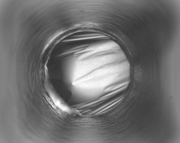 X0000085801115200703301451