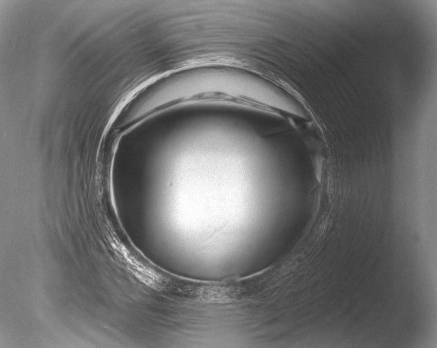 X0000085801116200703301451